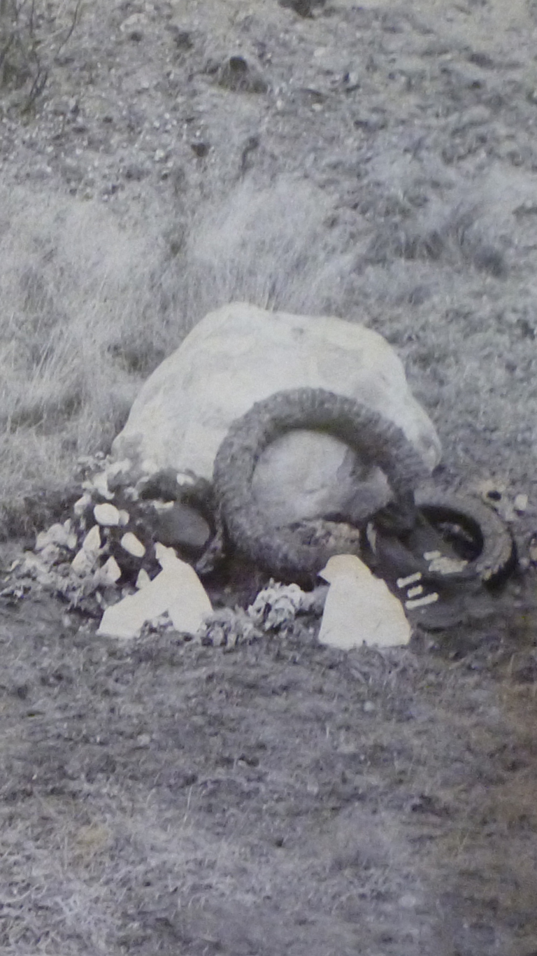 The police photographer also takes pictures of the wreaths at the memorial stone. Source: The Danish National Archives (Rigsarkivet).