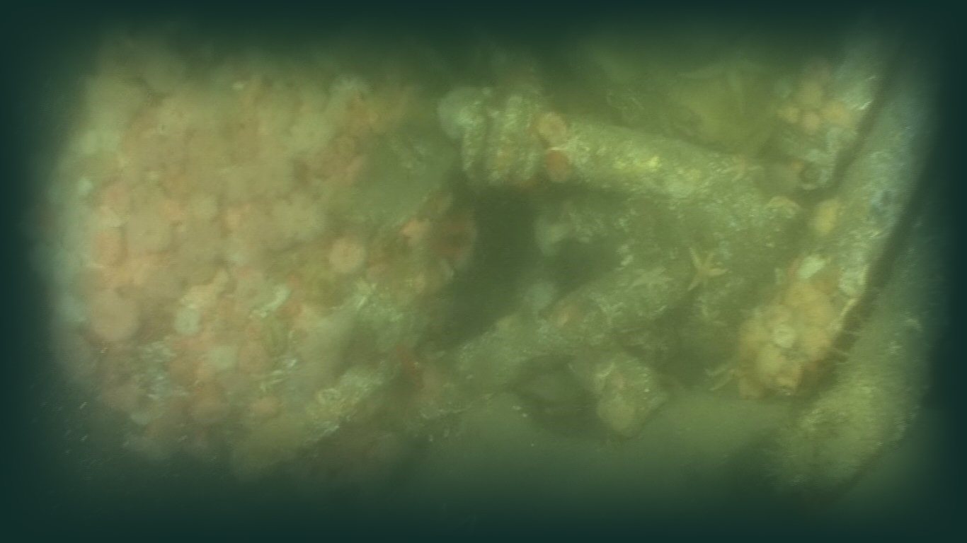 De gamle søminer (tv) og torpedoer (th) ligger stadig på bunden af havet. Foto: Gert Normann.